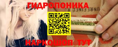 эйфоретик Новодвинск