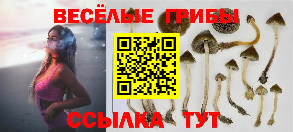 купить закладку  Псилоцибиновые грибы мухоморы  Вход с VPN  Галлюциногенные грибы Psilocybine cubensis  Саранск 