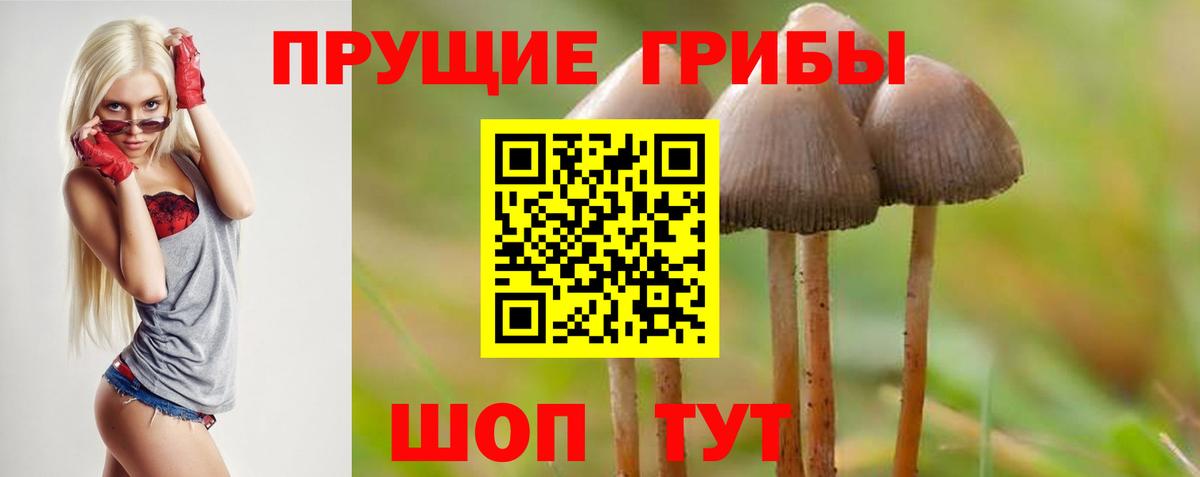 Галлюциногенные грибы прущие грибы Саранск